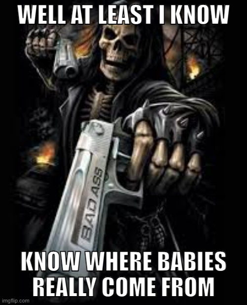 badass skeleton meme -3 | WELL AT LEAST I KNOW; KNOW WHERE BABIES REALLY COME FROM | image tagged in gangsta skeleton | made w/ Imgflip meme maker