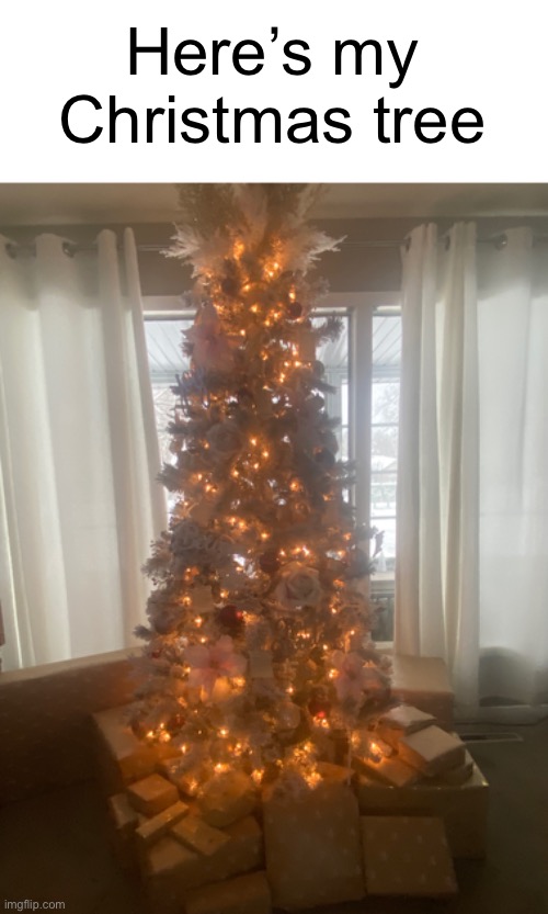My Christmas tree | Here’s my Christmas tree | image tagged in holidays,christmas,fun,funny | made w/ Imgflip meme maker