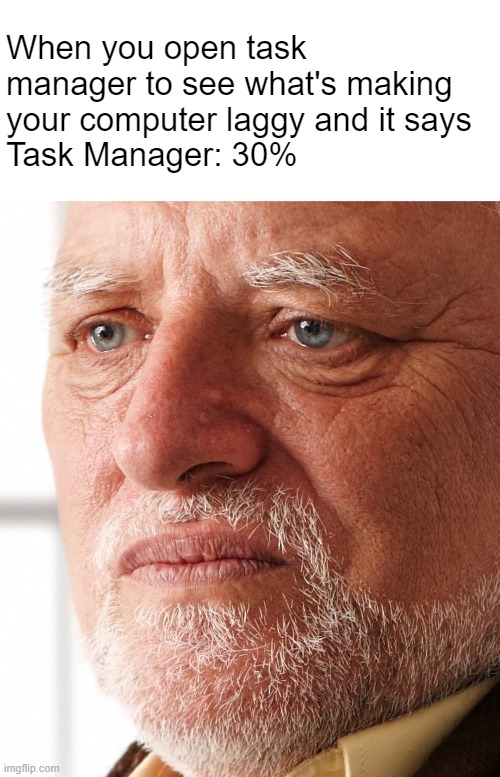 Task Manager | When you open task manager to see what's making your computer laggy and it says 
Task Manager: 30% | image tagged in dissapointment | made w/ Imgflip meme maker