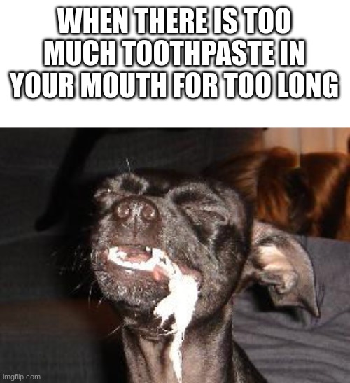 WHEN THERE IS TOO MUCH TOOTHPASTE IN YOUR MOUTH FOR TOO LONG | made w/ Imgflip meme maker