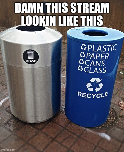 Trash and recycle bins | DAMN THIS STREAM LOOKIN LIKE THIS | image tagged in trash and recycle bins | made w/ Imgflip meme maker