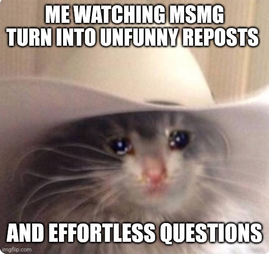 Sad cowboy cat | ME WATCHING MSMG TURN INTO UNFUNNY REPOSTS; AND EFFORTLESS QUESTIONS | image tagged in sad cowboy cat | made w/ Imgflip meme maker