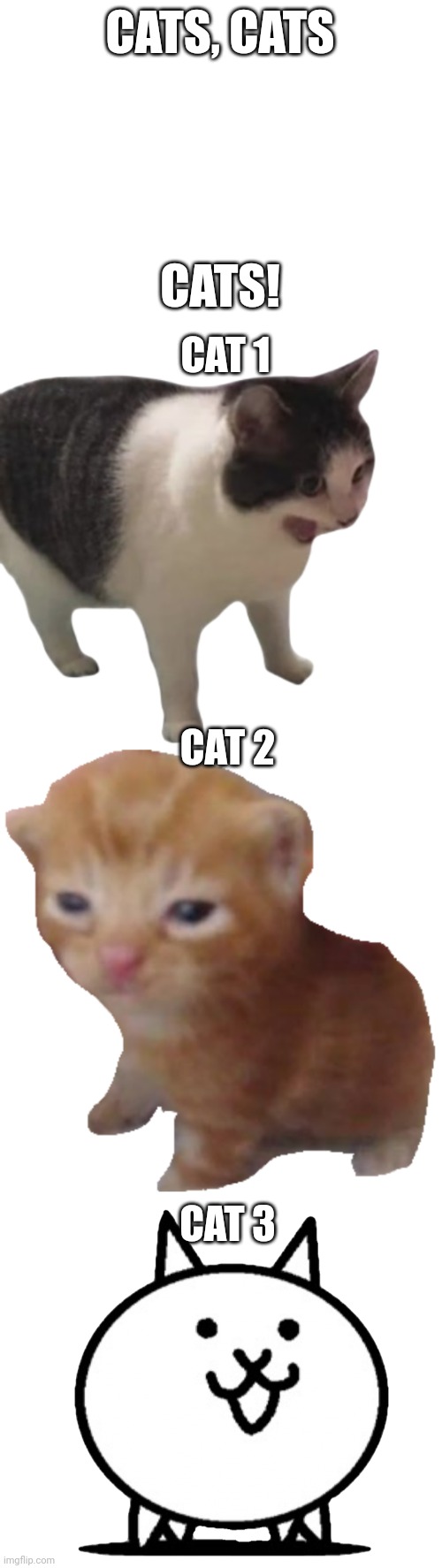 Lots of cats! | CATS, CATS; CATS! CAT 1; CAT 2; CAT 3 | image tagged in memes,cats | made w/ Imgflip meme maker