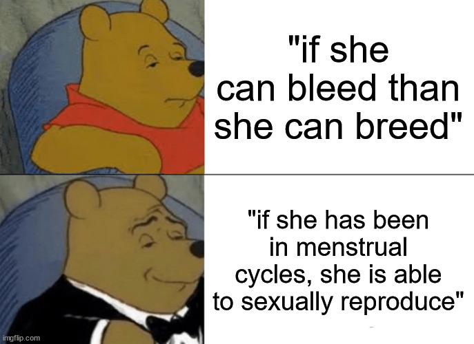 Tuxedo Winnie The Pooh | "if she can bleed than she can breed"; "if she has been in menstrual cycles, she is able to sexually reproduce" | image tagged in memes,tuxedo winnie the pooh | made w/ Imgflip meme maker