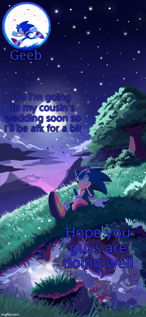 Geeb.'s sonic template | Yo I'm going to my cousin's wedding soon so I'll be afk for a bit; Hope you guys are doing well | image tagged in geeb 's sonic template | made w/ Imgflip meme maker