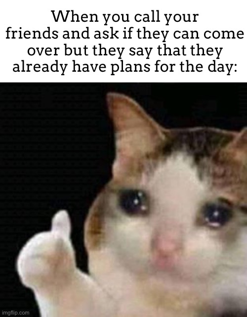 D: | When you call your friends and ask if they can come over but they say that they already have plans for the day: | image tagged in sad thumbs up cat,meme,sad,friends | made w/ Imgflip meme maker