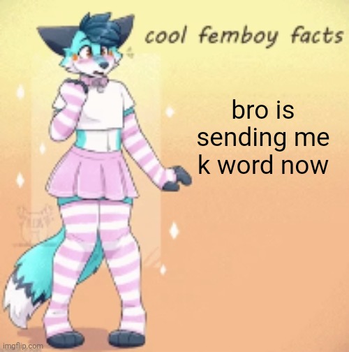 cool femboy facts | bro is sending me k word now | image tagged in cool femboy facts | made w/ Imgflip meme maker