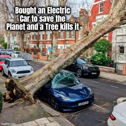 Ironic | Bought an Electric Car to save the Planet and a Tree kills it | image tagged in good luck,well yes but actually no,ecology,thanks for nothing,clean energy,mother nature not amused | made w/ Imgflip meme maker