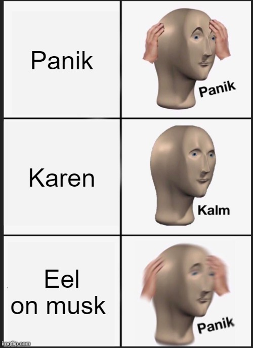 bru | Panik; Karen; Eel on musk | image tagged in memes,panik kalm panik | made w/ Imgflip meme maker