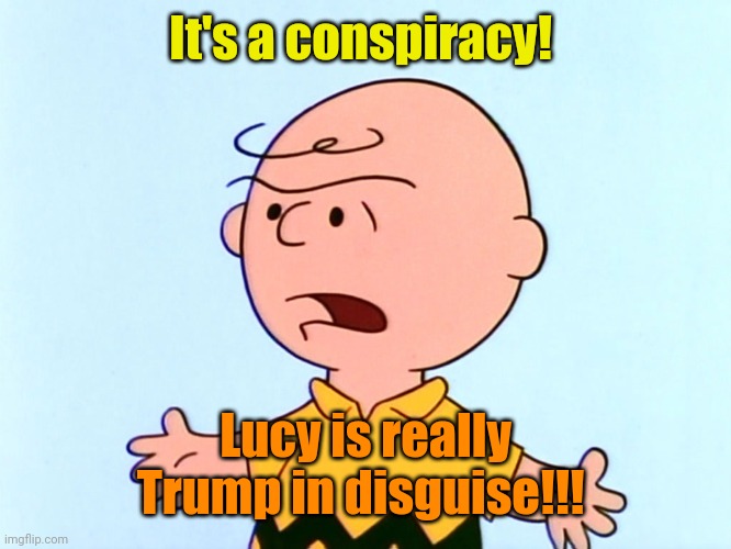 Angry Charlie Brown | It's a conspiracy! Lucy is really Trump in disguise!!! | image tagged in angry charlie brown | made w/ Imgflip meme maker