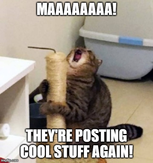cat scream cat post | MAAAAAAAA! THEY'RE POSTING COOL STUFF AGAIN! | image tagged in cat,cat post,scream | made w/ Imgflip meme maker