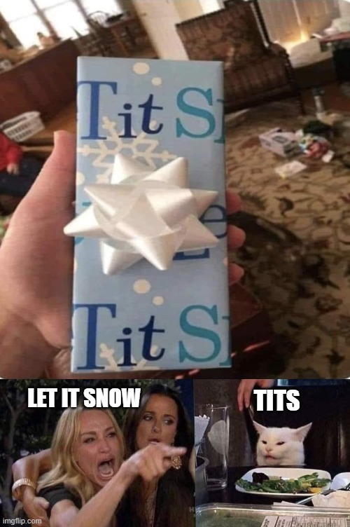 Let It... | LET IT SNOW; TITS | image tagged in woman yelling at cat,memes,christmas,tits | made w/ Imgflip meme maker