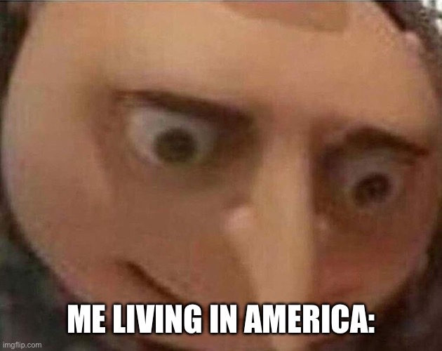 gru meme | ME LIVING IN AMERICA: | image tagged in gru meme | made w/ Imgflip meme maker