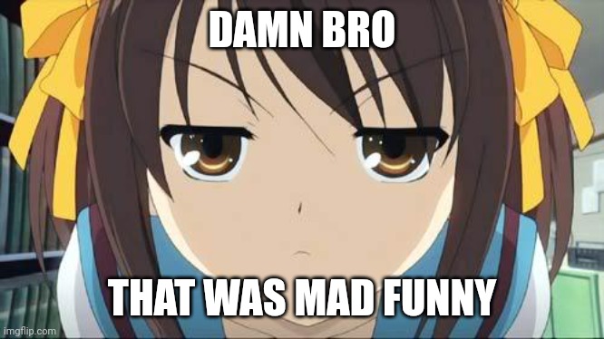 Haruhi stare | DAMN BRO; THAT WAS MAD FUNNY | image tagged in haruhi stare | made w/ Imgflip meme maker