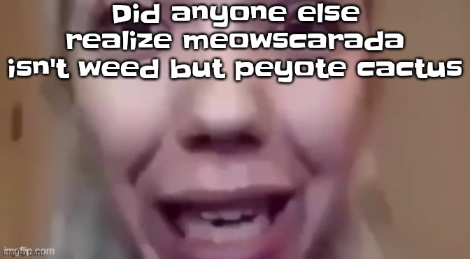 Peyote cat | Did anyone else realize meowscarada isn't weed but peyote cactus | image tagged in white women | made w/ Imgflip meme maker