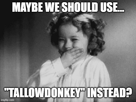 MAYBE WE SHOULD USE... "TALLOWDONKEY" INSTEAD? | made w/ Imgflip meme maker