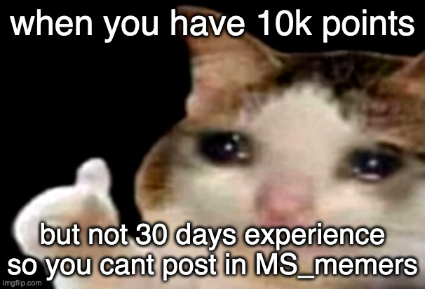 Image Title | when you have 10k points; but not 30 days experience so you cant post in MS_memers | image tagged in sad cat thumbs up | made w/ Imgflip meme maker