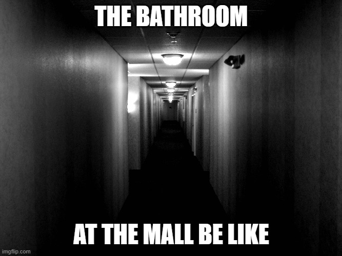 Fr | THE BATHROOM; AT THE MALL BE LIKE | image tagged in true | made w/ Imgflip meme maker