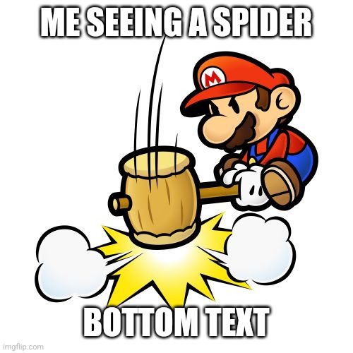 Mario Hammer Smash Meme | ME SEEING A SPIDER; BOTTOM TEXT | image tagged in memes,mario hammer smash | made w/ Imgflip meme maker