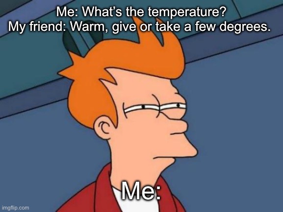 Futurama Fry Meme | Me: What’s the temperature?
My friend: Warm, give or take a few degrees. Me: | image tagged in memes,futurama fry | made w/ Imgflip meme maker