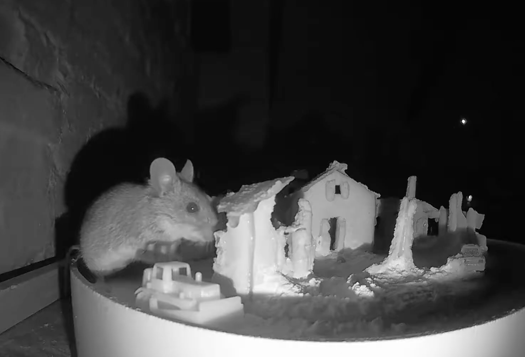 High Quality Mouse eats Gingerbread House Blank Meme Template