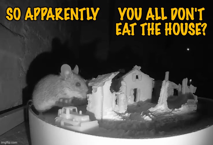Heard this from a non-Jewish friend, so I guess it's true? *very confused* | SO APPARENTLY; YOU ALL DON'T
EAT THE HOUSE? | image tagged in mouse eats gingerbread house,holidays,treats,christians | made w/ Imgflip meme maker