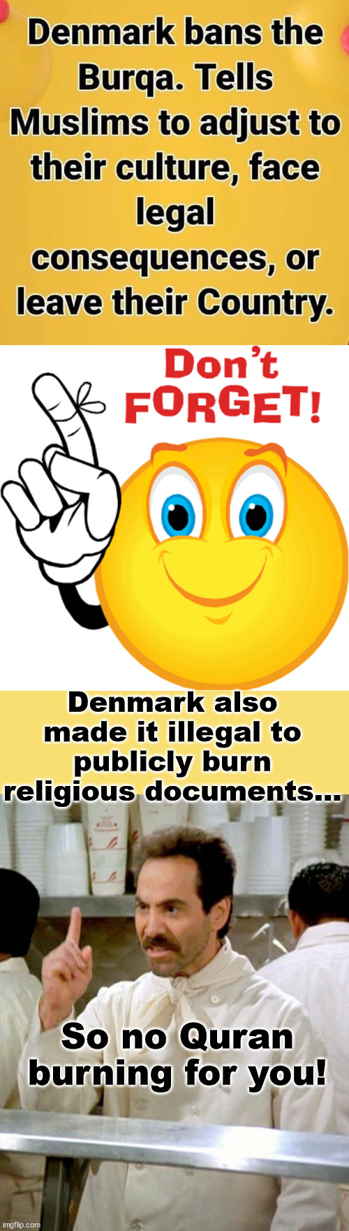 Denmark | Denmark also made it illegal to publicly burn religious documents... So no Quran burning for you! | image tagged in don't forget,denmark,laws | made w/ Imgflip meme maker