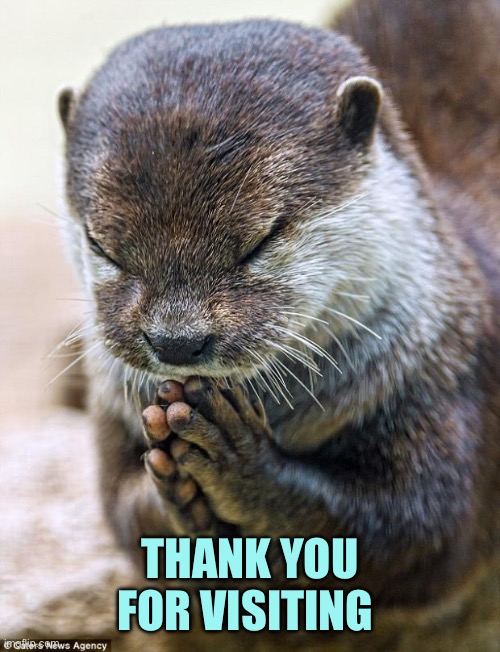 Thank you Lord Otter | THANK YOU FOR VISITING | image tagged in thank you lord otter | made w/ Imgflip meme maker
