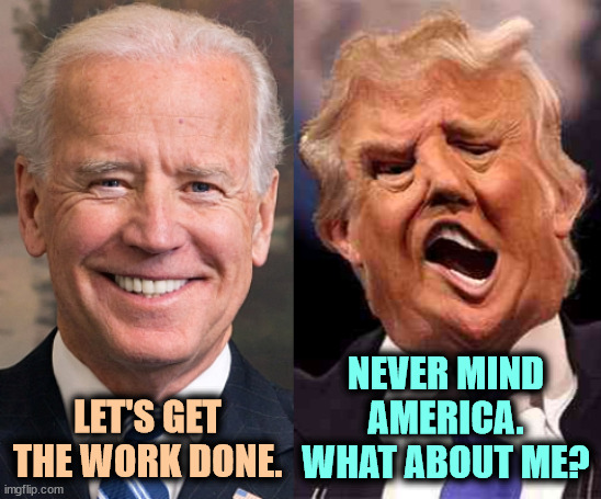 You can get the work done, our you can laugh at the show. | NEVER MIND AMERICA.
WHAT ABOUT ME? LET'S GET THE WORK DONE. | image tagged in biden solid stable trump acid drugs,biden,calm,trump,hysteria,selfishness | made w/ Imgflip meme maker