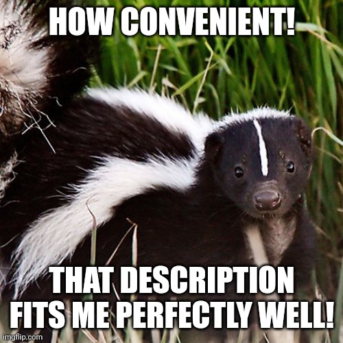 skunk | HOW CONVENIENT! THAT DESCRIPTION FITS ME PERFECTLY WELL! | image tagged in skunk | made w/ Imgflip meme maker