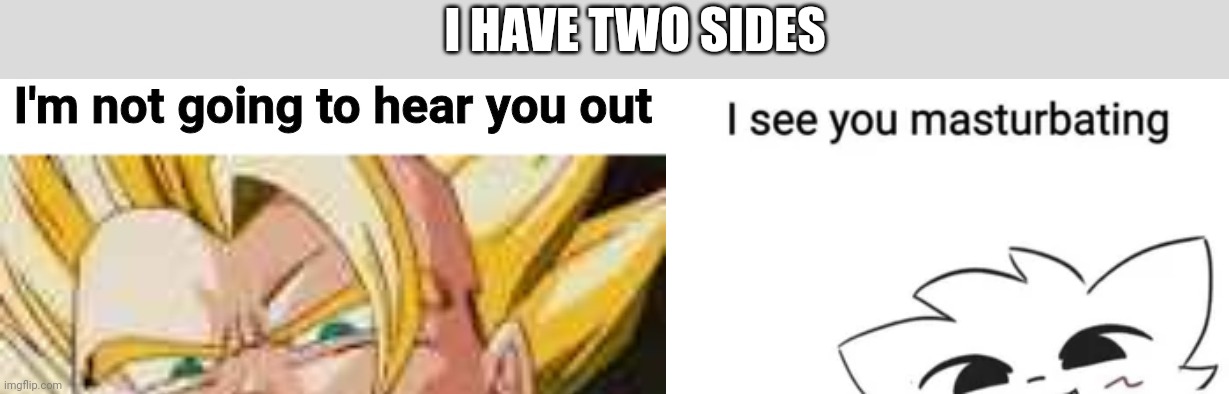 I HAVE TWO SIDES | image tagged in i'm not going to hear you out,i see you masturbating | made w/ Imgflip meme maker