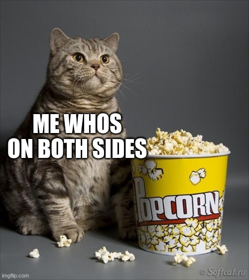 Cat eating popcorn | ME WHOS ON BOTH SIDES | image tagged in cat eating popcorn | made w/ Imgflip meme maker