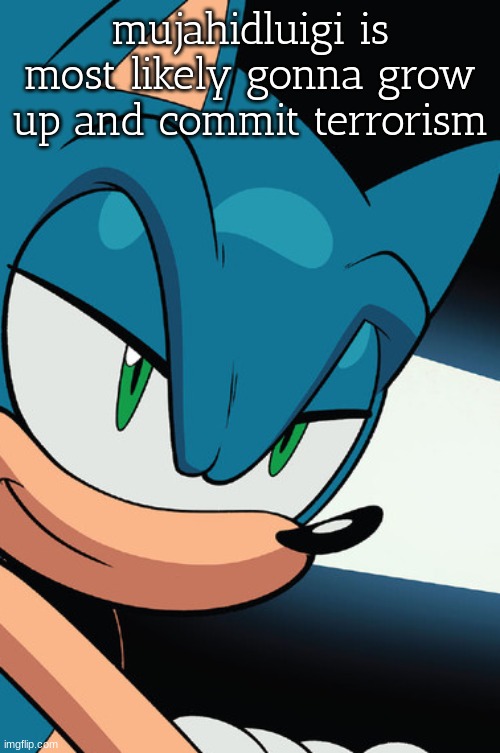 smug sonic | mujahidluigi is most likely gonna grow up and commit terrorism | image tagged in smug sonic | made w/ Imgflip meme maker