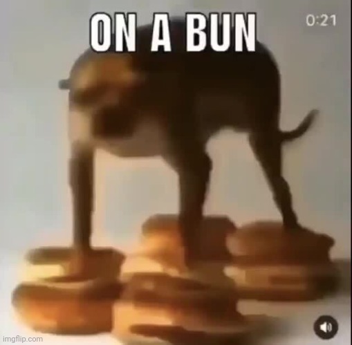 ON A BUN | image tagged in on a bun | made w/ Imgflip meme maker