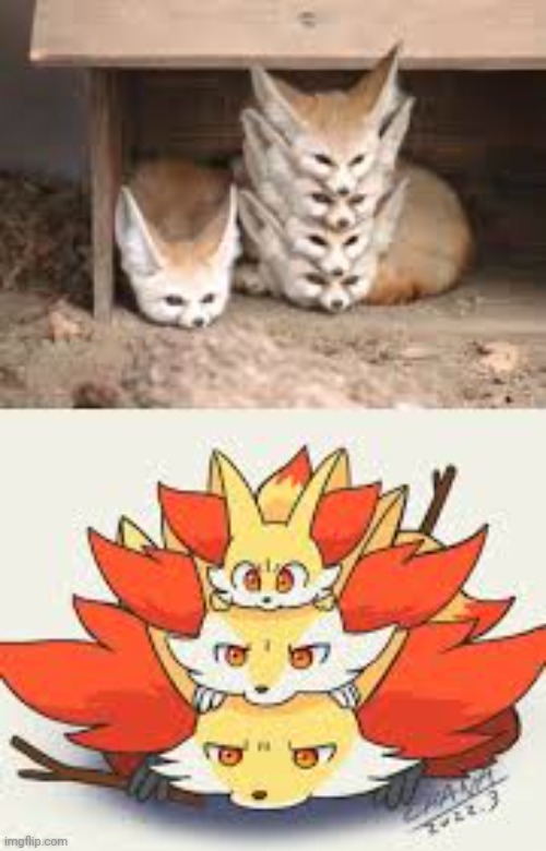 Fox loaf | image tagged in fox loaf | made w/ Imgflip meme maker