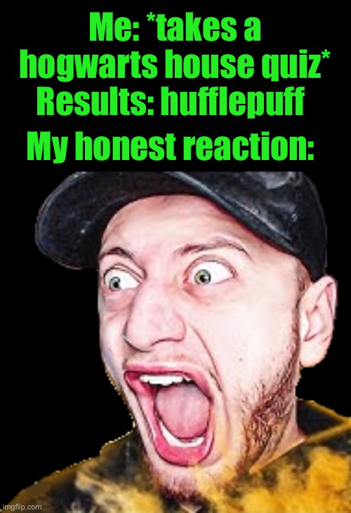 Wubzzy screaming his lungs out | Me: *takes a hogwarts house quiz*; Results: hufflepuff; My honest reaction: | image tagged in wubzzy screaming his lungs out | made w/ Imgflip meme maker