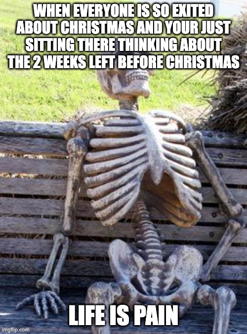 Waiting Skeleton Meme | WHEN EVERYONE IS SO EXITED ABOUT CHRISTMAS AND YOUR JUST SITTING THERE THINKING ABOUT THE 2 WEEKS LEFT BEFORE CHRISTMAS; LIFE IS PAIN | image tagged in memes,waiting skeleton | made w/ Imgflip meme maker
