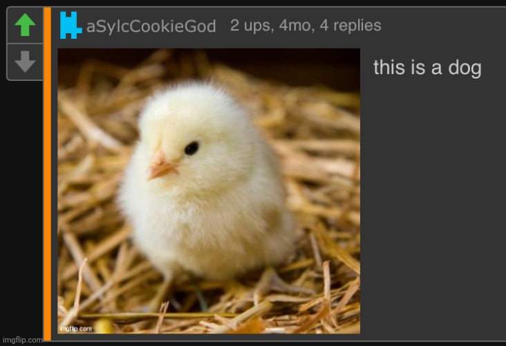 this is a dog | image tagged in this is a dog | made w/ Imgflip meme maker