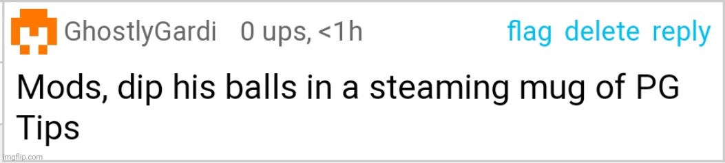 Mods, Dip His Balls In A Steaming Mug of PG Tips | image tagged in mods dip his balls in a steaming mug of pg tips | made w/ Imgflip meme maker