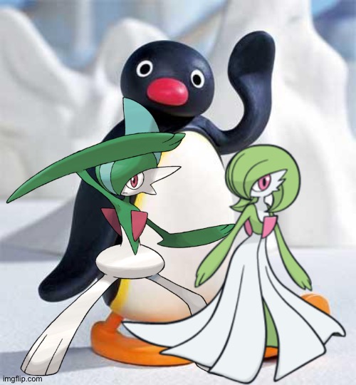 Pingu,Gallade and Gardevoir hanging out | image tagged in pingu,pokemon,crossover | made w/ Imgflip meme maker
