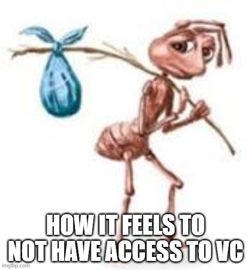 lonely :( | HOW IT FEELS TO NOT HAVE ACCESS TO VC | image tagged in sad ant with bindle | made w/ Imgflip meme maker