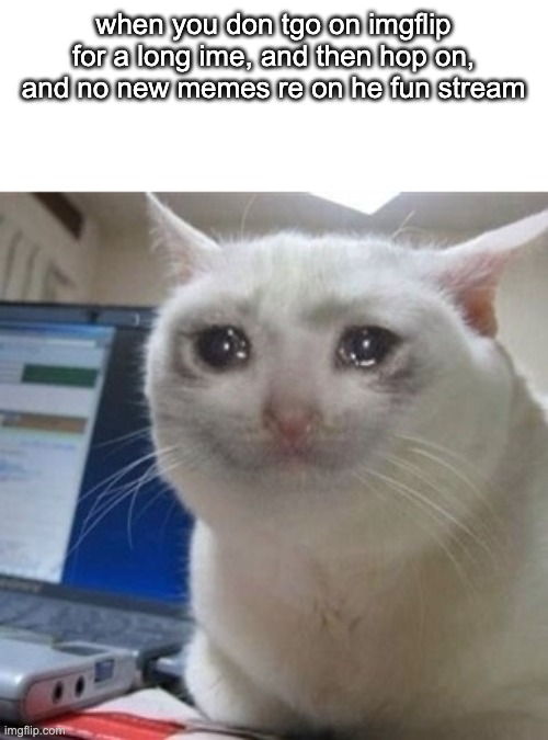 me sad | when you don tgo on imgflip for a long ime, and then hop on, and no new memes re on he fun stream | image tagged in crying cat | made w/ Imgflip meme maker