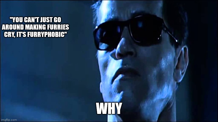 "YOU CAN'T JUST GO AROUND MAKING FURRIES CRY, IT'S FURRYPHOBIC"; WHY | image tagged in terminator 2 | made w/ Imgflip meme maker