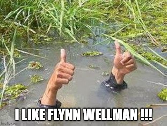 FLOODING THUMBS UP | I LIKE FLYNN WELLMAN !!! | image tagged in flooding thumbs up | made w/ Imgflip meme maker
