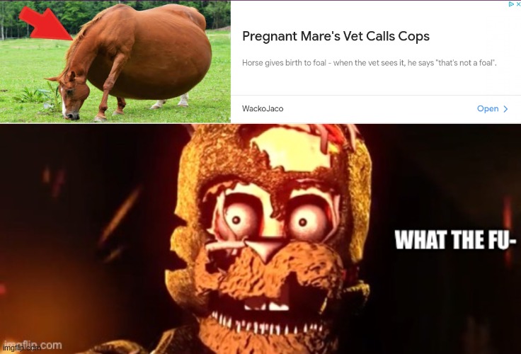 TF- | image tagged in scraptrap what the fu- | made w/ Imgflip meme maker