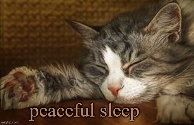 peaceful sleep | made w/ Imgflip meme maker