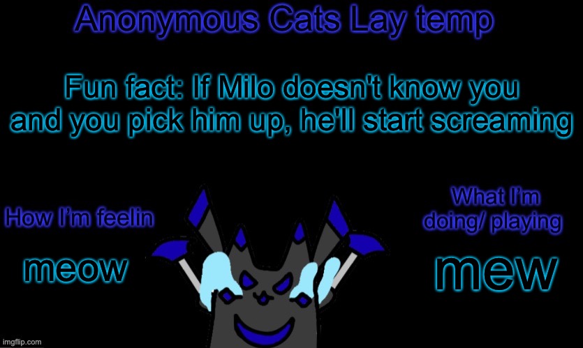 :thumb: | Fun fact: If Milo doesn't know you and you pick him up, he'll start screaming; mew; meow | image tagged in anonymous cats temp template | made w/ Imgflip meme maker
