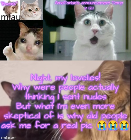 AmeTonian's announcement Temp v 1.2.1 | Night, my lovelies!
Why were people actually thinking I sent nudes
But what I'm even more skeptical of is why did people ask me for a real pic 😭😭😭 | image tagged in ametonian's announcement temp v 1 2 1 | made w/ Imgflip meme maker