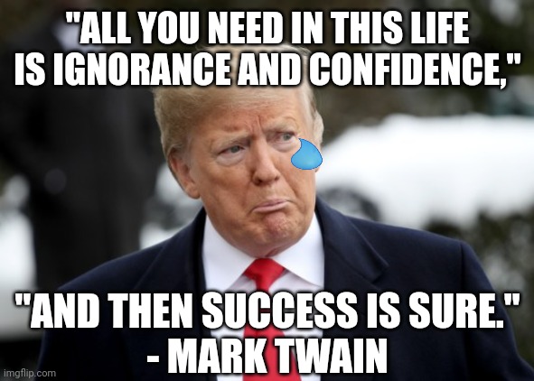 There's a reason that the "con" in "con man" is short for "confidence". | "ALL YOU NEED IN THIS LIFE
IS IGNORANCE AND CONFIDENCE,"; "AND THEN SUCCESS IS SURE."
- MARK TWAIN | image tagged in donald trump,success,ignorance,confidence,con man,mark twain | made w/ Imgflip meme maker