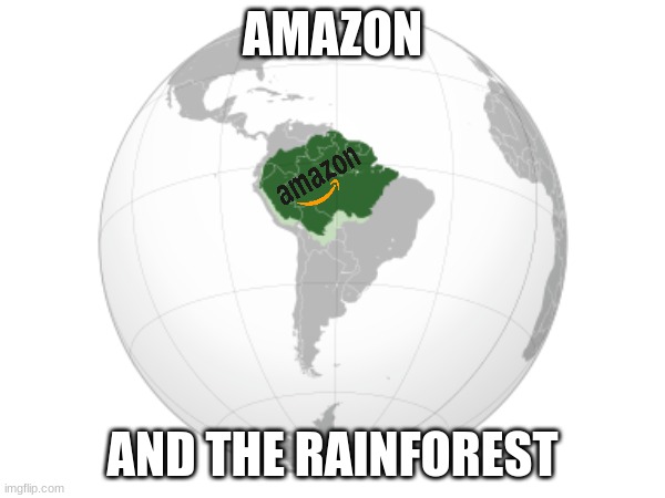 The only thing we're missing is the Amazon River :) | AMAZON; AND THE RAINFOREST | image tagged in amazon,brazil | made w/ Imgflip meme maker